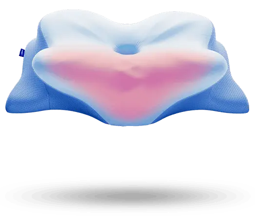 Derila Ergo Pillow 2